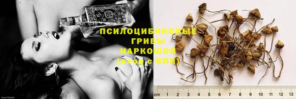 индика Алексеевка