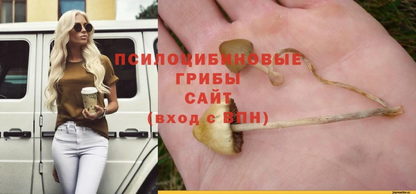 СК Алексин