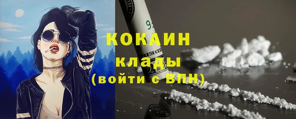 индика Алексеевка