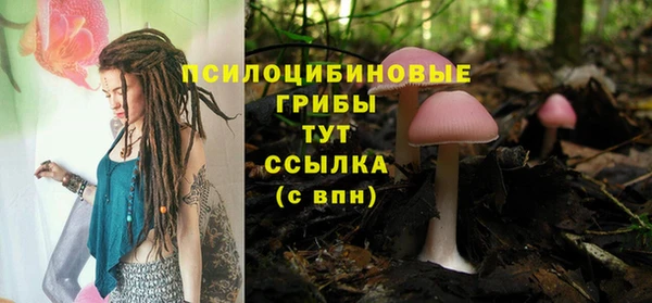 спайс Алзамай