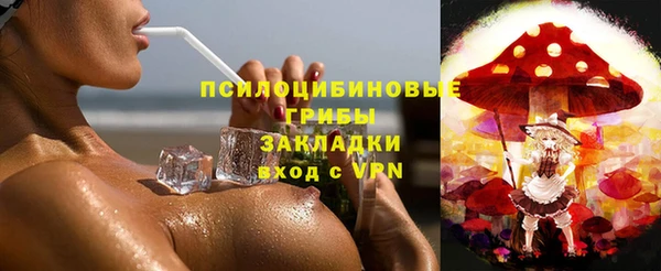 спайс Алзамай