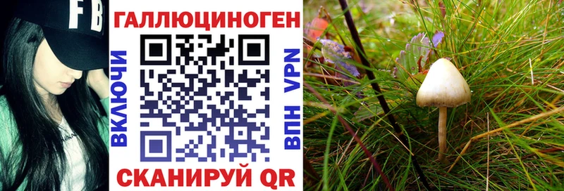 Галлюциногенные грибы мицелий  Кола 