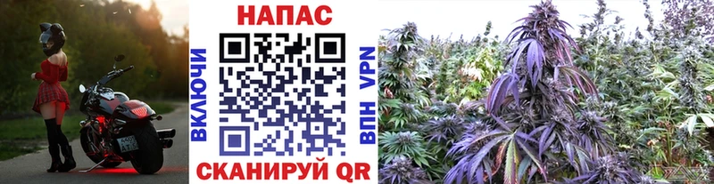 Бошки марихуана White Widow blacksprut маркетплейс Кола наркошоп